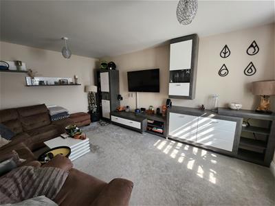 Picture 14